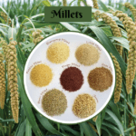 Millets