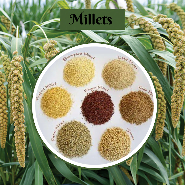 Millets