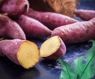 Japanese Sweet Potatoes